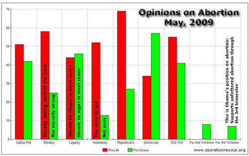 Abortion Statistics